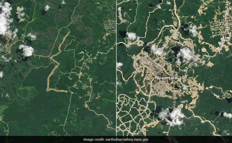 NASA Posts Before And After Pics Of New City Emerging In Forest