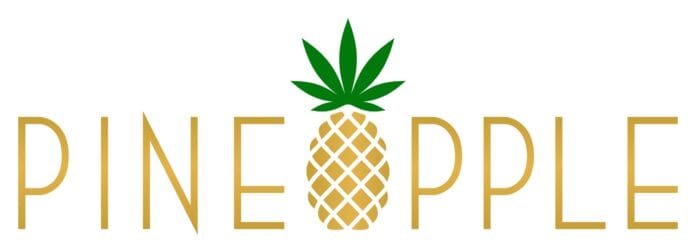 Pineapple Inc. Provides Shareholder Update and 2025 Outlook