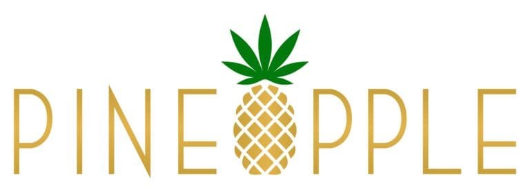 Pineapple Inc. Provides Shareholder Update and 2025 Outlook