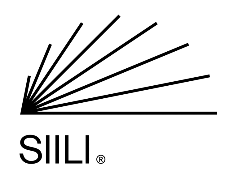 Siili Solutions Plc: Share Repurchase 13.6.2025